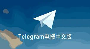 Telegram上的人是真实的吗